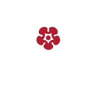 Alternate Text